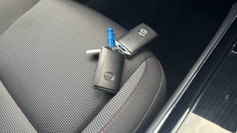 Mazda CX-30 2.5 e-Skyactiv G MHEV [140] Homura 5dr Auto Petrol Hatchback